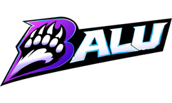 BALU TEAM