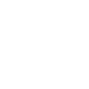 Team Secret