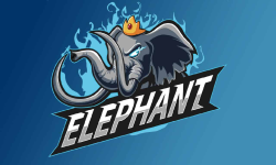 Elephant 小象