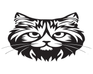 Gatitos Persas