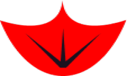 Cyber Goose